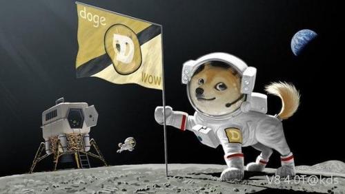 Dogecoin：太空任务启动后Doge会达到1美元吗？